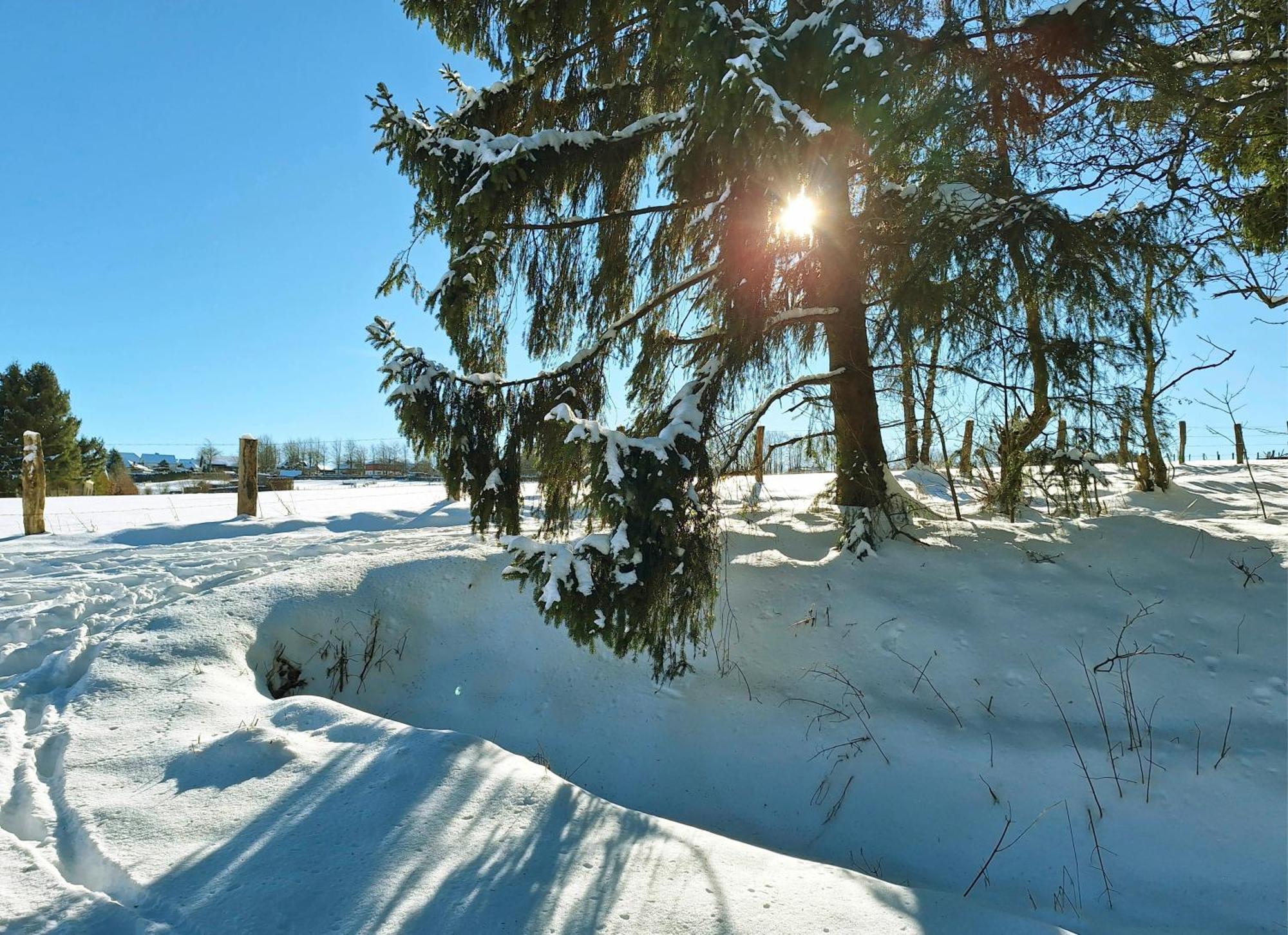 Ferienhaus Am Nationalpark Eifel Dreiborn Εξωτερικό φωτογραφία